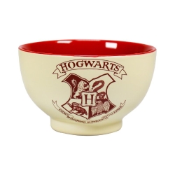 OFFICIAL HARRY POTTER ROOM OF REQUIREMENT DRINKS MUG CORK BACKED COASTER 
