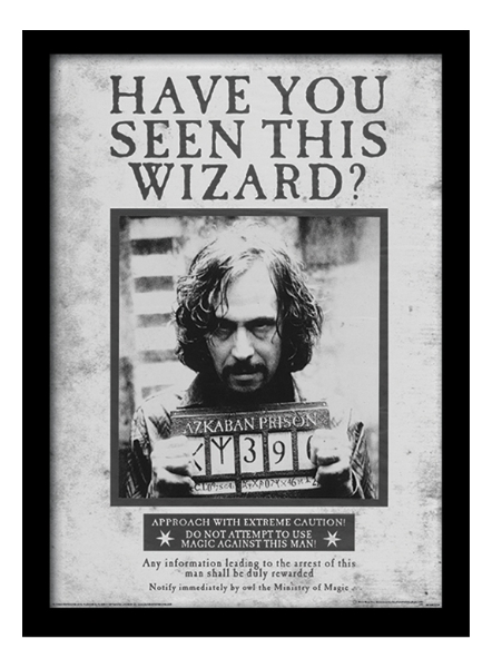 Harry Potter Photo Quality Magnet Have You Seen This Wizard Sirius Black 
