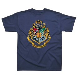 Harry Potter Boys Hogwarts Distressed Crest Sweatshirt 
