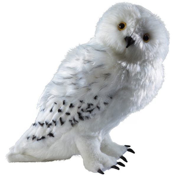 Harry Potter Noble Collection Plush - Hedwig Large - The Shop That Must Not  Be Named